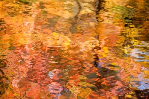 Abstract;Abstractions;Autumn;Brook;Couchville Cedar Glade State Natural Area;Creek;Fall;Great Smoky Mountains National Park;Patterns;Reflection;Reflections;River;River Bed;Riverbed;Rivers;Seasons;Shapes;Stock categories;Stream;Tennessee;Textures;United States;Water;waterway